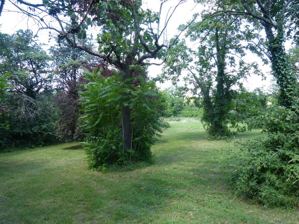 Bed and Breakfast Mas Moise Sauve Exterior foto
